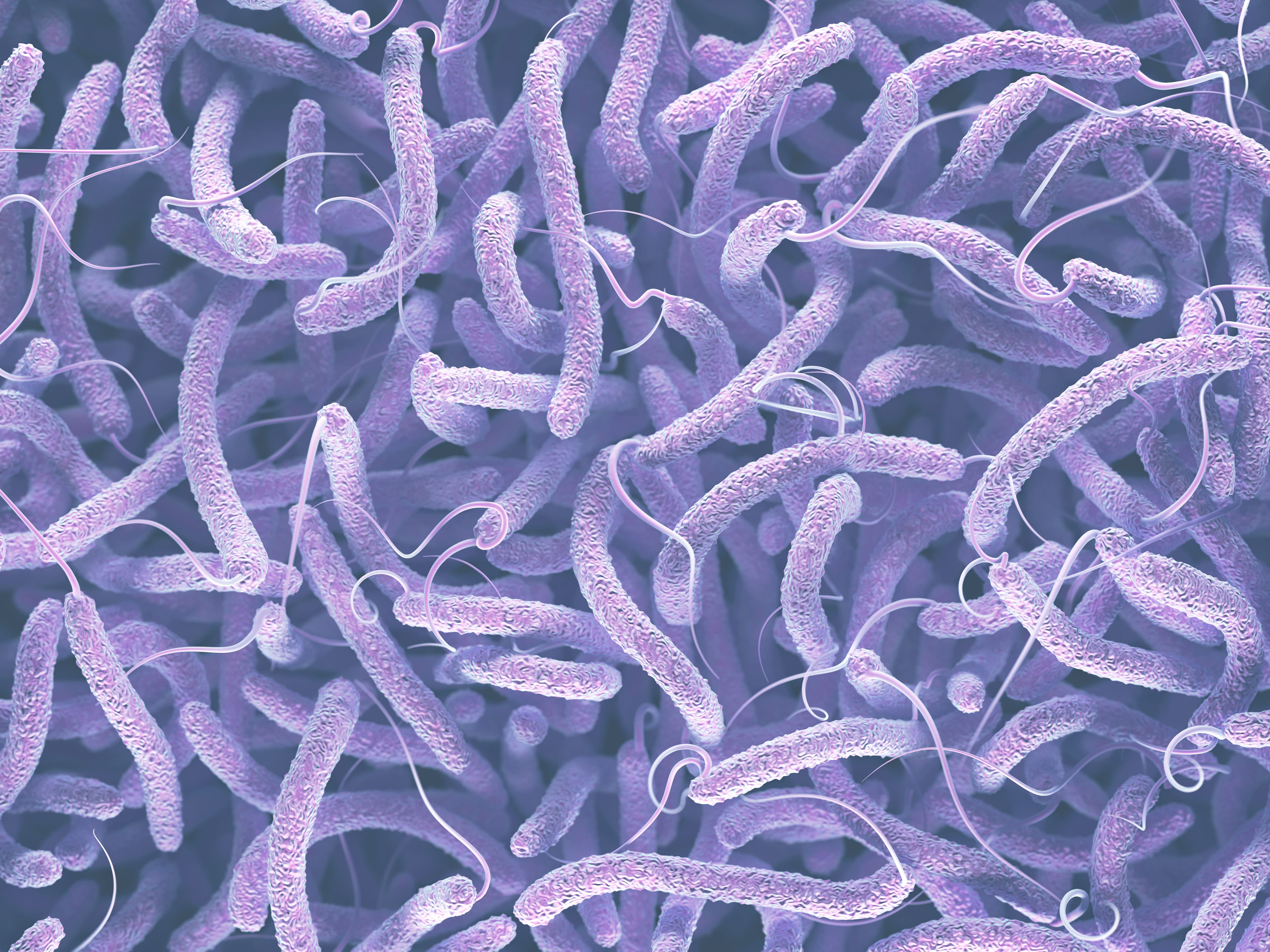 THE FUTURE OF PROBIOTICS IS NOW