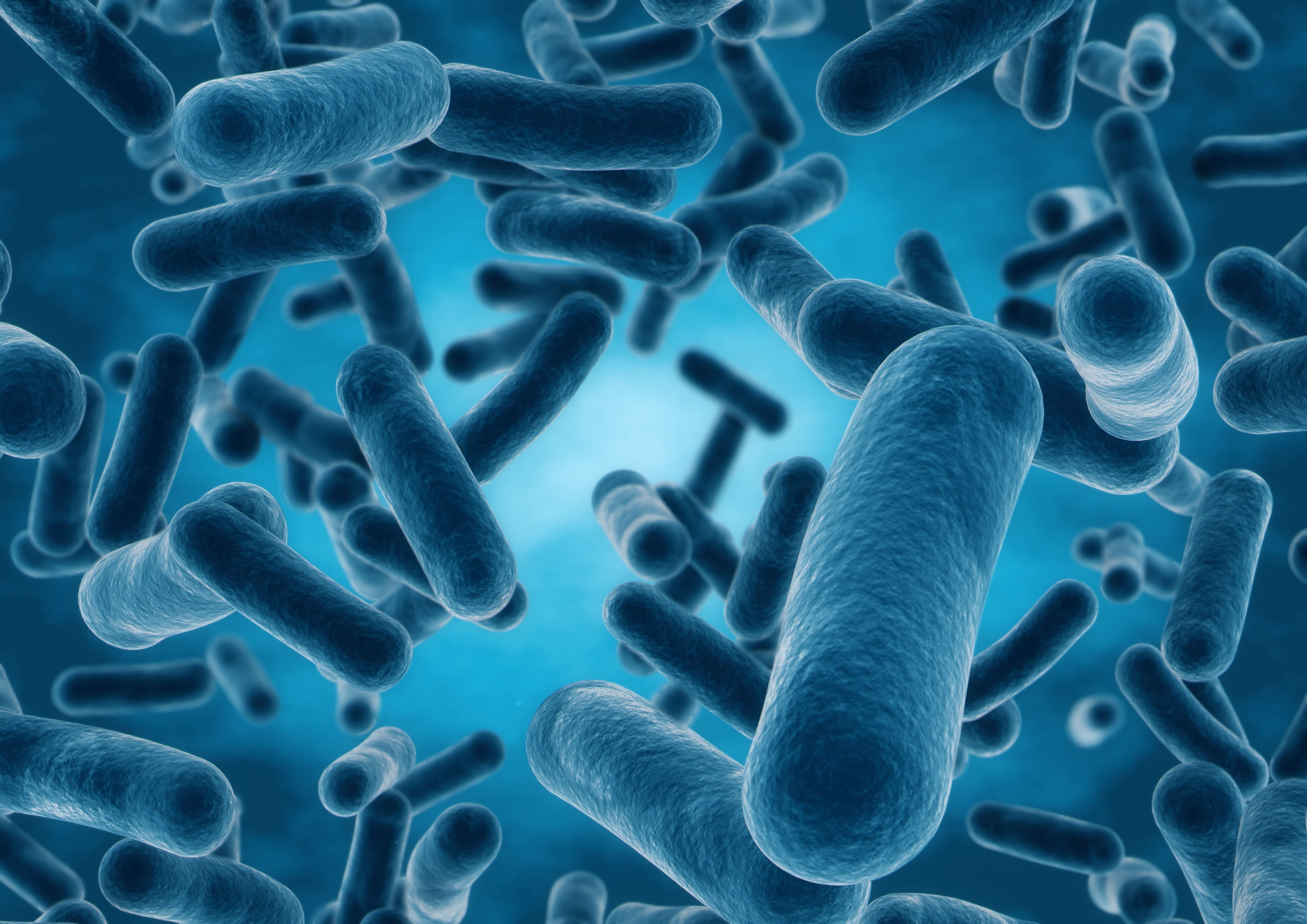 PROBIOTICS FROM THE PALEOLITHIC ERA